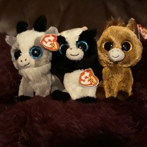 Beanie babies boos collection
